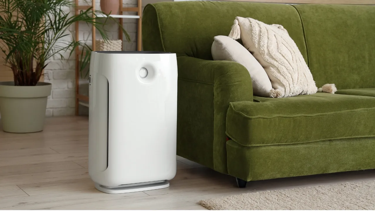 Do Air Purifiers Really Work? What They Remove—and What They Don’t